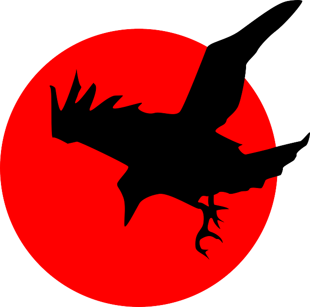 crow-pixabay