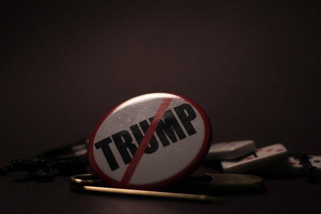 trump-4893750_640 DUMP TRUMP. FLUSH THE TURD NOVEMBER 3RD
